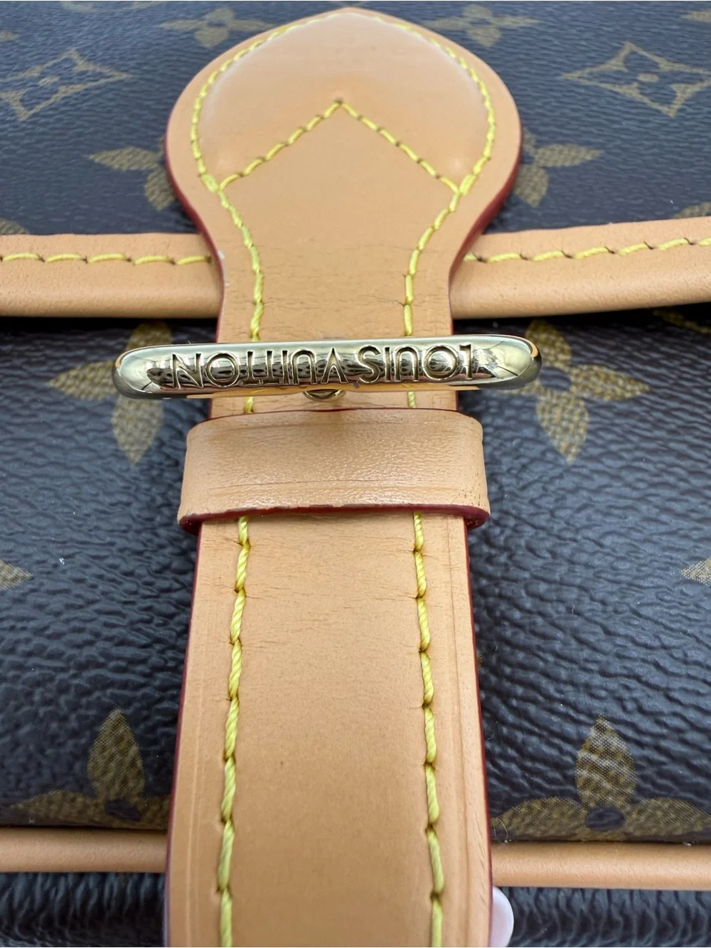 Louis Vuitton Diane Monogram Bag w/Shoulder and Crossbody Straps, Pristine